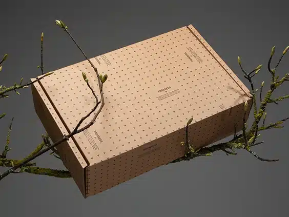 Kraft Boxes