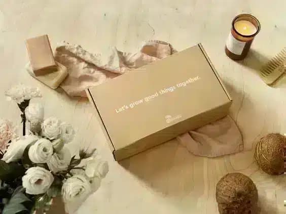 Bux Boxes